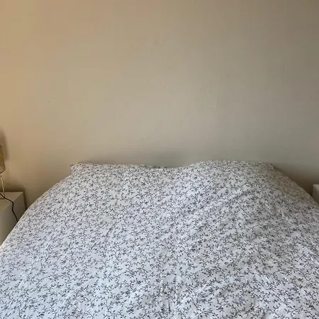 Lägenhet Spacious T3 With Balcony - Close To Town Center