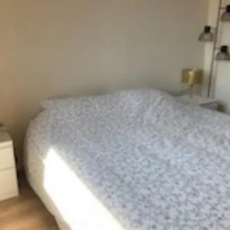 公寓 Spacious T3 With Balcony - Close To Town Center *